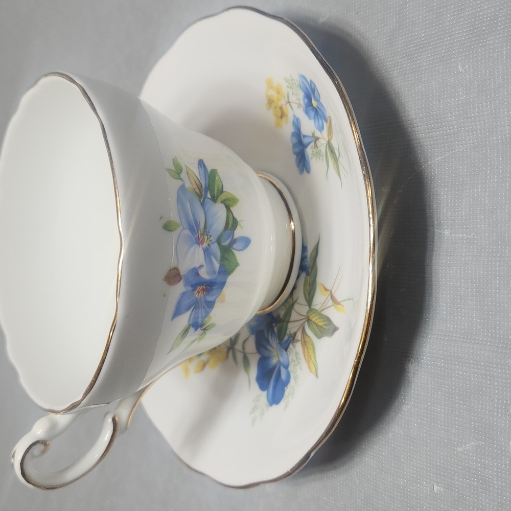 Bone China Tea Cup